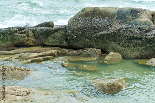 Cuadro en lienzo Large mossy rocks and barnacles on a rocky shoreline with turquoise ocean waves crashing in the background