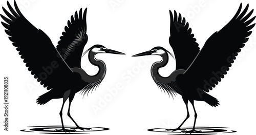 Black, heron, crane, silhouette, vector, illustration, two, birds, standing, in, water, with, open, wings, isolated, white, background, nature, wildlife, icon.