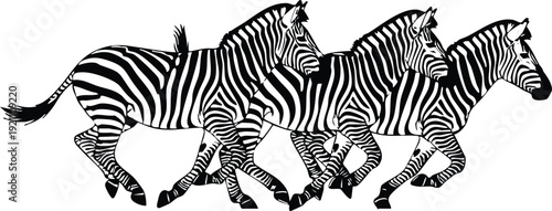 Three Running Zebras Silhouette - African Safari Zebra Trio Woodcut Vector Art