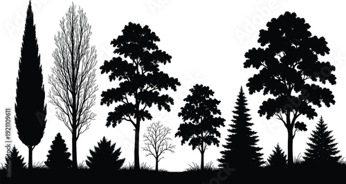 Black silhouettes of various trees on white background tree silhouettes black trees