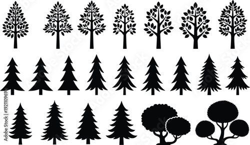 Collection of black tree silhouettes including deciduous and pine evergreen forest trees isolated on white background vector illustration set