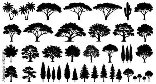 Big Vector Set of Tree Silhouettes from Different Climate Zones Isolated on White Background