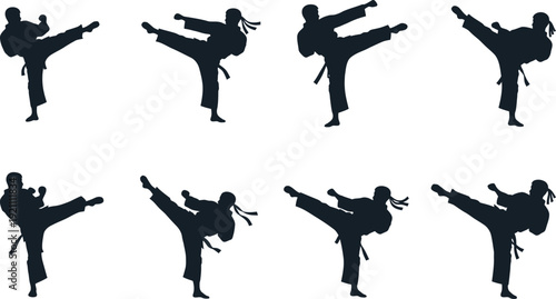 Silhouette of eight martial arts practitioners performing various kicking techniques in two rows on white background