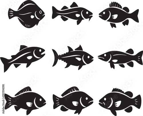 Fish Silhouette Icon Set Vector Collection of Freshwater and Marine Species Isolated on White Background