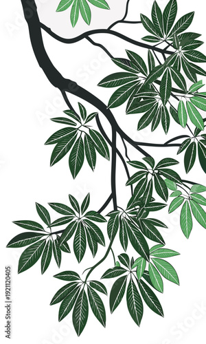 Lush Green Foliage on a Branch Against a White Background.