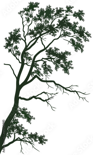 Silhouette of a tree with sparse foliage against a white background.