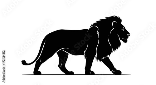 Black Silhouette of a Lion Walking.