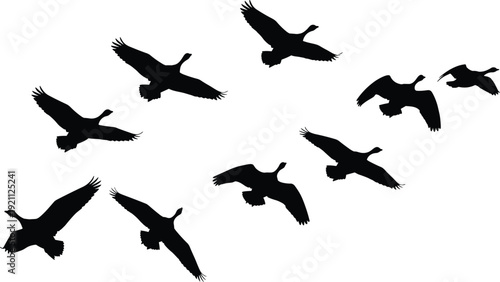 Silhouette of a flock of geese flying in formation against a clear white background, illustrating teamwork, migration, wildlife, freedom, nature, and scenic beauty.