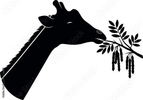 Partial view of a basketball with prominent black and white sections