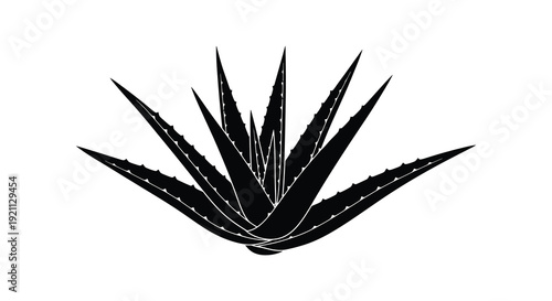 A striking black silhouette depicts an aloe vera plant with sharp pointed leaves against a white background silhouette