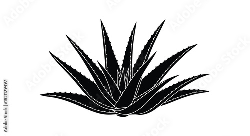 A striking black silhouette of an aloe vera plant with sharply defined leaves creating a bold graphic silhouette