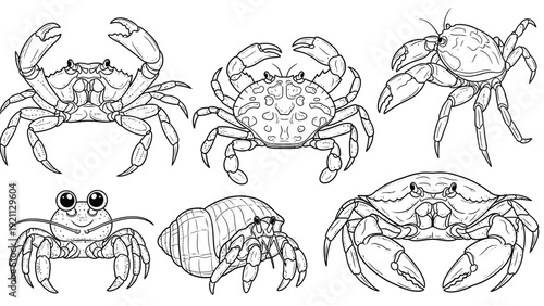 Illustrated crab variety: six different crabs with unique body shapes and patterns, displaying diverse claws and shells in a playful, detailed style.