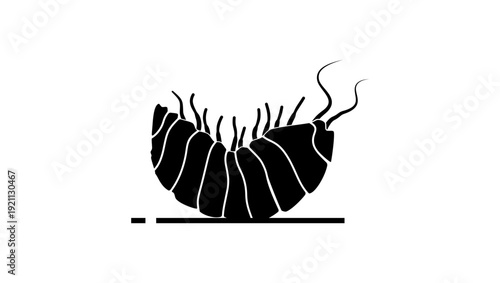 dead pill bug, black isolated silhouette