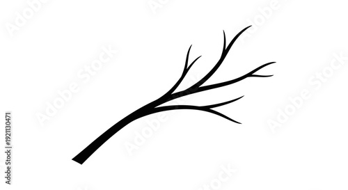 Black Silhouette of a Branch.