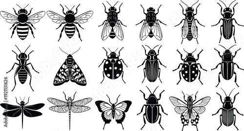 Black and white insect vector illustrations, symmetrical designs, butterfly, dragonfly, beetle, moth, bee, fly, entomology artwork, nature graphics