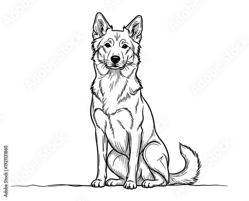 A detailed black and white line drawing of a sitting dog, resembling a German Shepherd. The dog appears calm and attentive, with perked ears.
