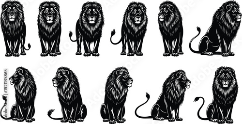 Set of majestic lion silhouettes featuring powerful male lions with thick manes in various noble standing and sitting poses for wildlife design.