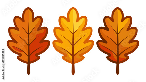 warm flat design illustration of three oak leaves with classic lobed silhouette in rich burnt orange and amber autumn tones with detailed veins on white background representing fall foliage seasonal n