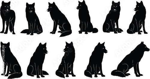 Wolf silhouettes, black animal artwork, standing and seated poses, wild canine illustration, nature vector graphics, wildlife design, predator outline, forest symbol