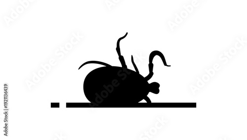 dead parasitic Tick, black isolated silhouette