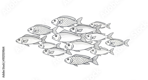 School of Fish Swimming Together Isolated on White Background, Vector Illustration