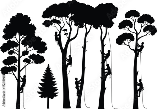 Tree climber arborist silhouette collection illustration, forestry workers cutting tall forest trees, professional logging industry concept, isolated white background