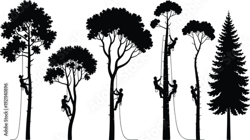 Tree climber silhouette collection illustration, arborist workers cutting tall forest trees set, forestry industry concept vector, isolated white background