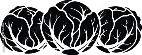 Three Cabbages Silhouette Vector - Leafy Garden Vegetable Trio Woodcut Art Illustration