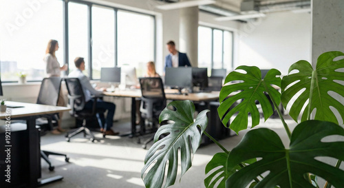 Vászonkép Office workers collaborating in modern workspace with green plant natural light