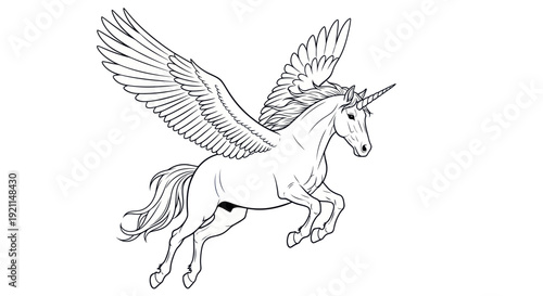 Mythical Pegasus Unicorn Line Drawing - Majestic Winged Horse Illustration