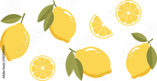 Set of fresh yellow lemons with green leaves featuring whole fruits and sliced citrus sections for food design and summer themes vector.