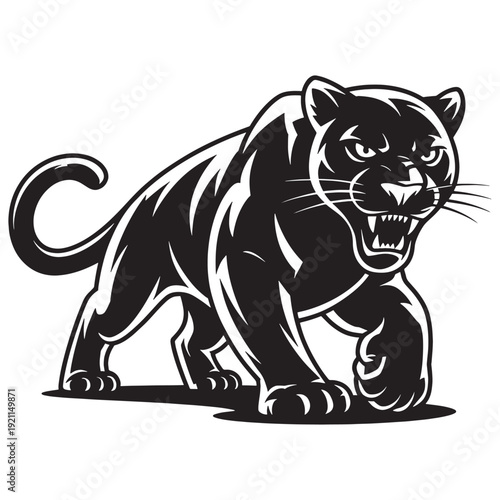Black panther with open mouth and sharp teeth standing on white background in a threatening stance  big cat with aggressive facial expression