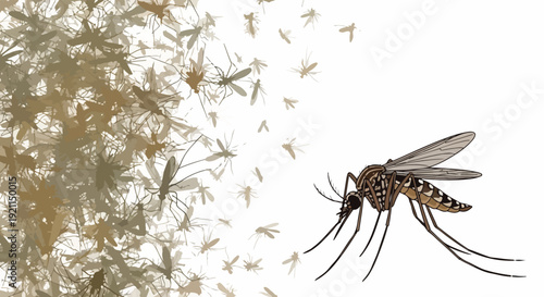 A large mosquito with distinctive brown and black spots flies towards a swarm of smaller mosquitoes against a white background with a blurred brown area.