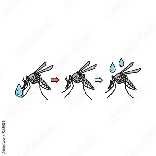 Illustration of a mosquito picking up, transforming, and releasing water droplets in a simple, line-drawn style on a white background.