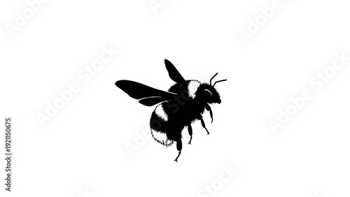 Silhouette of a Bee or Wasp Flying Isolated on White Background