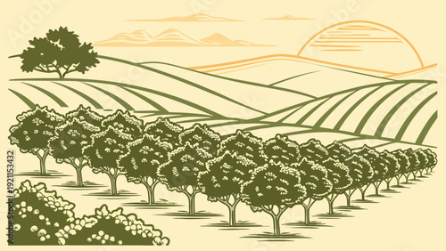 Minimal Citrus Farm Vector