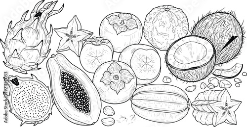 Exotic Tropical Fruits Hand Drawn Vector Illustration Set Featuring Dragon Fruit Papaya Starfruit Coconut Persimmon and Many Other Organic Harvest Elements