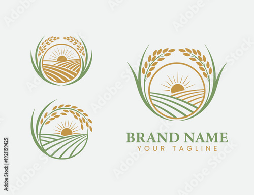 wheat or rice farming logo or icon design template
