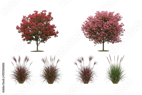Trees and Ornamental Grasses Collection