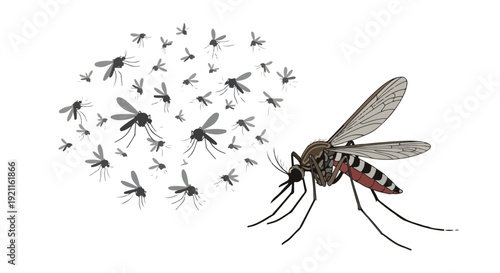 A large mosquito with a distinctive black and white striped body and red abdomen flying with a swarm of smaller mosquitoes against a white background in a graphic illustration.