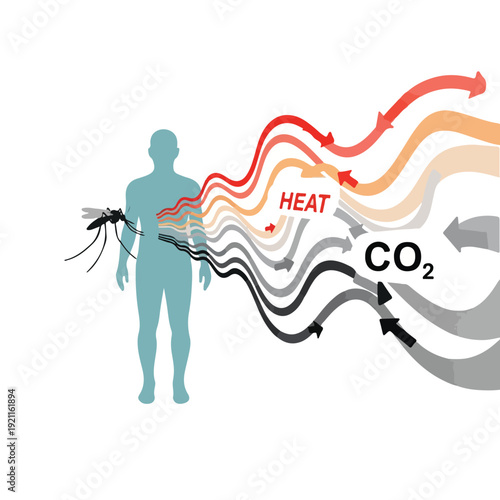 Infographic illustration depicting human body heat and carbon dioxide emissions in a colorful, wavy line graphic on a white background.