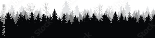Silhouette of dense forest with tall pine trees and misty background nature tree silhouettes