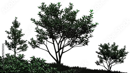 Silhouettes of various trees and shrubs against a white background.