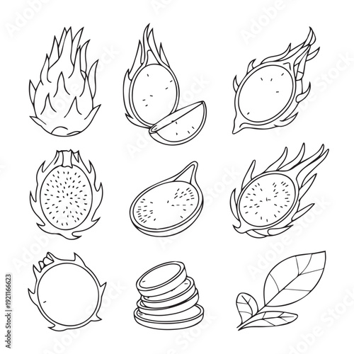 Set of dragon fruit icons, hand drawn vector illustrations, collection of line art doodles, whole, half, and sliced pieces