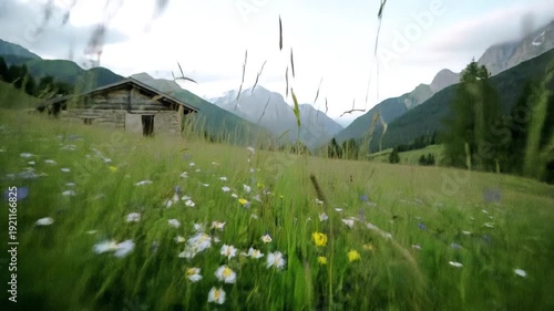 A serene lowangle view captures the vibrant green meadow filled with delicate wildflowers leading towards a rustic wooden cabin nestled in a picturesque mountain valley under a soft cloudy sky evokin.