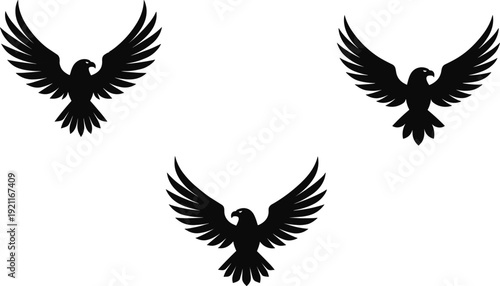 Black silhouettes of three eagles with wings spread bird white background