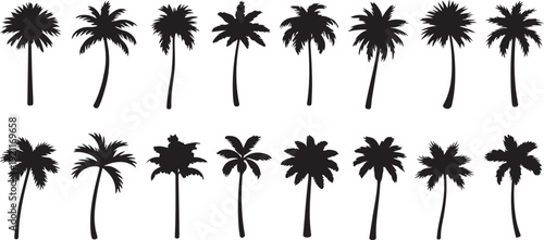 Set of black silhouette palm tree icons with varied trunk shapes and crown density for tropical themes