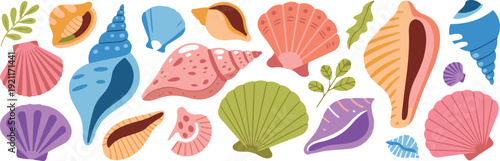 Collection of colorful seashells and marine plants on transparent background, summer beach decorations