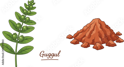 Guggul medicinal plant illustration showing green herbal branch and natural resin powder used in Ayurveda traditional medicine and organic health remedies