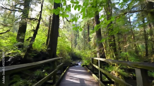 Walking through a serene and vibrant green forest on a sundappled wooden boardwalk surrounded by towering trees and lush vegetation with a peaceful stream flowing beneath evoking a sense of tranquili.